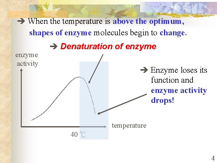  When the temperature is above the optimum, shapes of enzyme molecules begin to