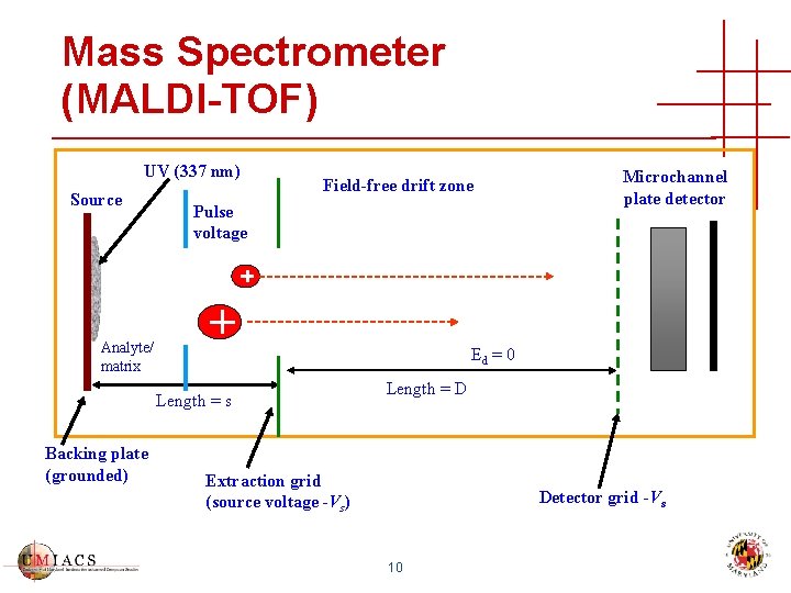 Mass Spectrometer (MALDI-TOF) UV (337 nm) Source Field-free drift zone Pulse voltage Analyte/ matrix