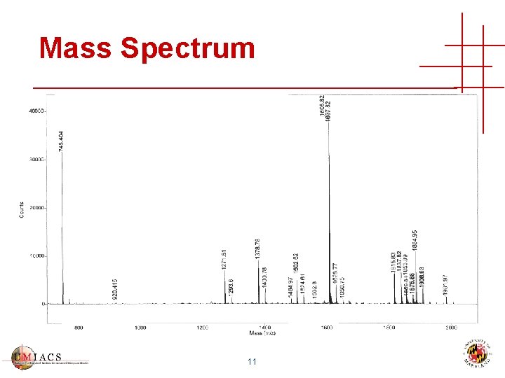 Mass Spectrum 11 