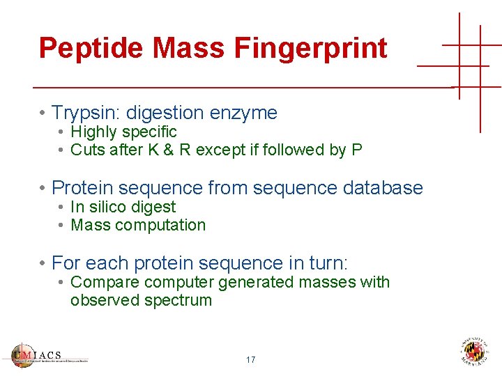 Peptide Mass Fingerprint • Trypsin: digestion enzyme • Highly specific • Cuts after K