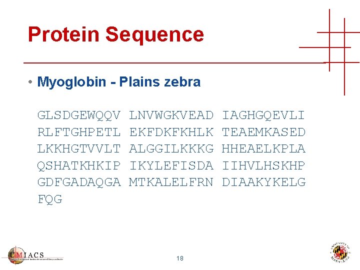 Protein Sequence • Myoglobin - Plains zebra GLSDGEWQQV RLFTGHPETL LKKHGTVVLT QSHATKHKIP GDFGADAQGA FQG LNVWGKVEAD