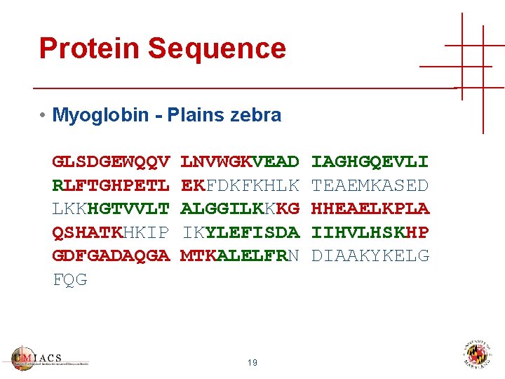 Protein Sequence • Myoglobin - Plains zebra GLSDGEWQQV RLFTGHPETL LKKHGTVVLT QSHATKHKIP GDFGADAQGA FQG LNVWGKVEAD