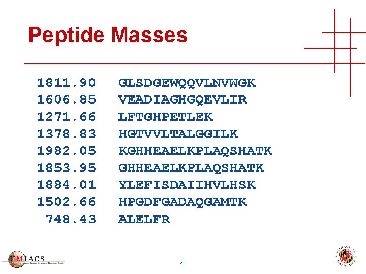 Peptide Masses 1811. 90 1606. 85 1271. 66 1378. 83 1982. 05 1853. 95