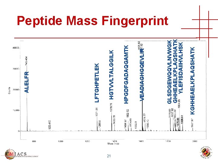 21 KGHHEAELKPLAQSHATK GLSDGEWQQVLNVWGK GHHEAELKPLAQSHATK YLEFISDAIIHVLHSK VEADIAGHGQEVLIR HPGDFGADAQGAMTK HGTVVLTALGGILK LFTGHPETLEK ALELFR Peptide Mass Fingerprint 