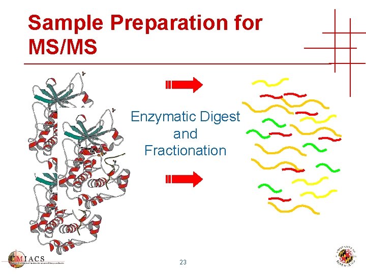 Sample Preparation for MS/MS Enzymatic Digest and Fractionation 23 