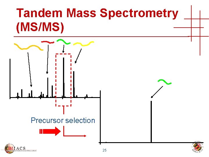 Tandem Mass Spectrometry (MS/MS) Precursor selection 25 