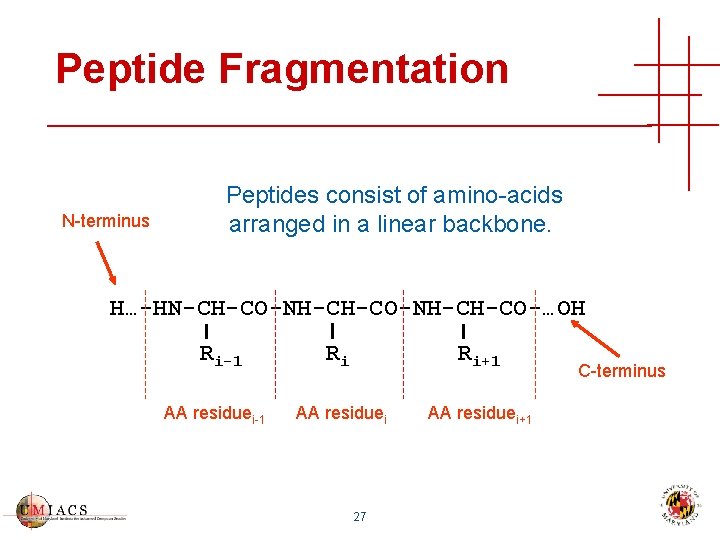 Peptide Fragmentation N-terminus Peptides consist of amino-acids arranged in a linear backbone. H…-HN-CH-CO-NH-CH-CO-…OH Ri-1