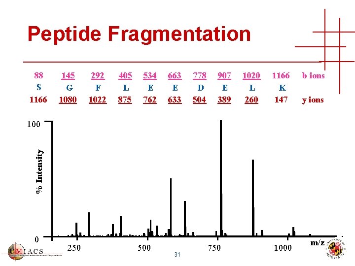Peptide Fragmentation 88 S 1166 145 G 1080 292 F 1022 405 L 875