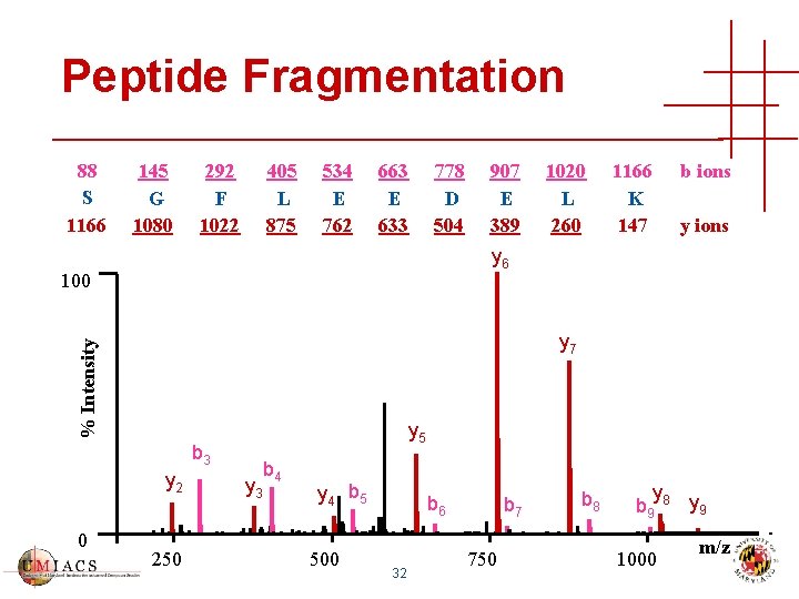 Peptide Fragmentation 88 S 1166 145 G 1080 292 F 1022 405 L 875