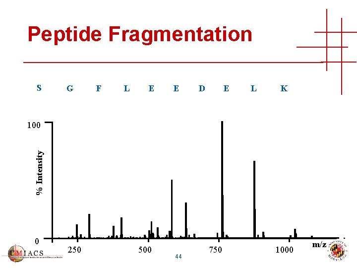 Peptide Fragmentation S G F L E E D E L K % Intensity