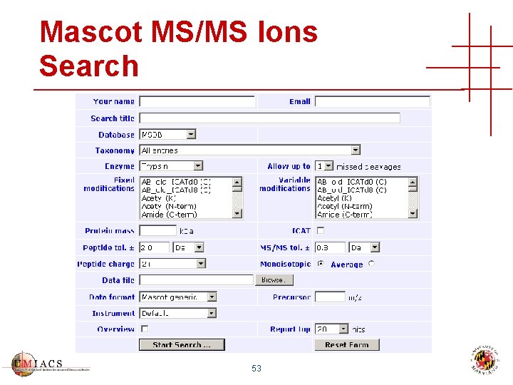 Mascot MS/MS Ions Search 53 