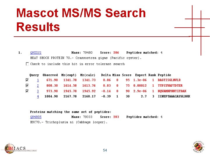 Mascot MS/MS Search Results 54 