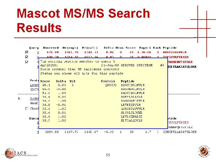 Mascot MS/MS Search Results 55 