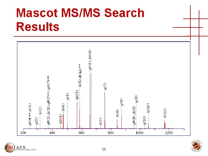 Mascot MS/MS Search Results 56 