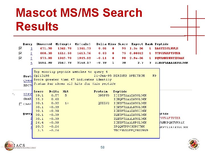 Mascot MS/MS Search Results 58 