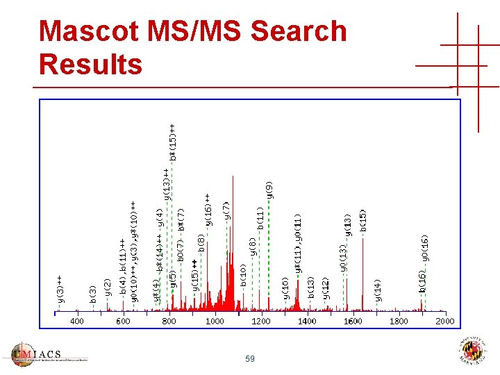 Mascot MS/MS Search Results 59 