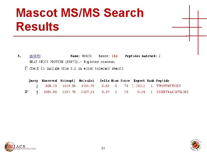 Mascot MS/MS Search Results 61 