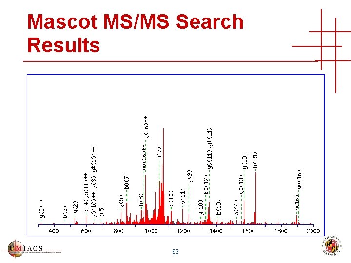 Mascot MS/MS Search Results 62 
