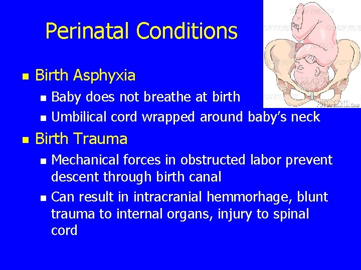 Perinatal Conditions n Birth Asphyxia n n n Baby does not breathe at birth