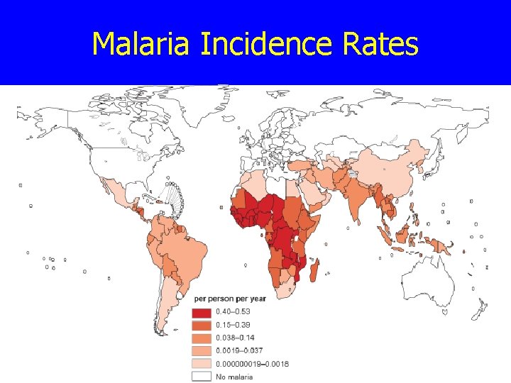 Malaria Incidence Rates 