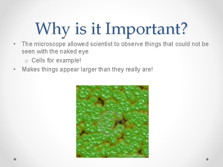 Why is it Important? • The microscope allowed scientist to observe things that could