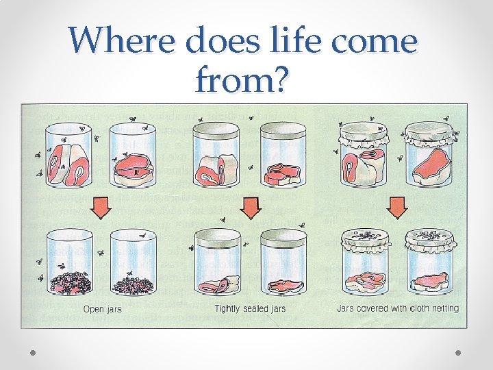 Where does life come from? 