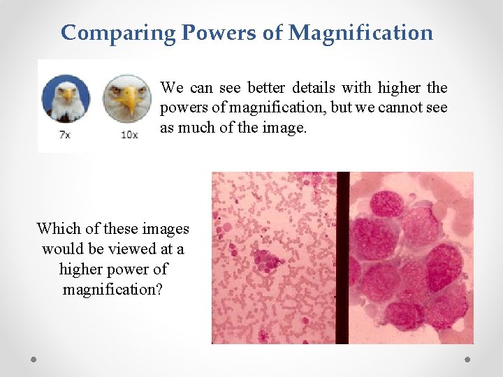 Comparing Powers of Magnification We can see better details with higher the powers of