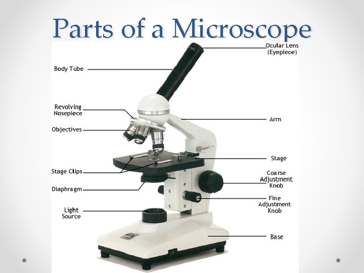 Parts of a Microscope 