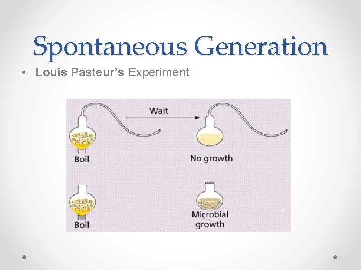 Spontaneous Generation • Louis Pasteur’s Experiment 