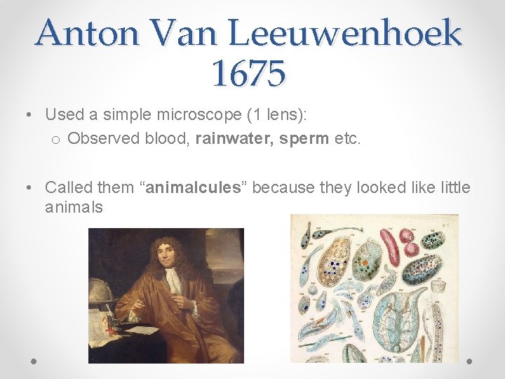 Anton Van Leeuwenhoek 1675 • Used a simple microscope (1 lens): o Observed blood,