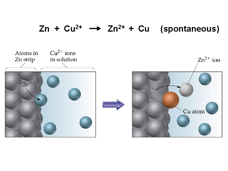 Zn + Cu 2+ Zn 2+ + Cu (spontaneous) 