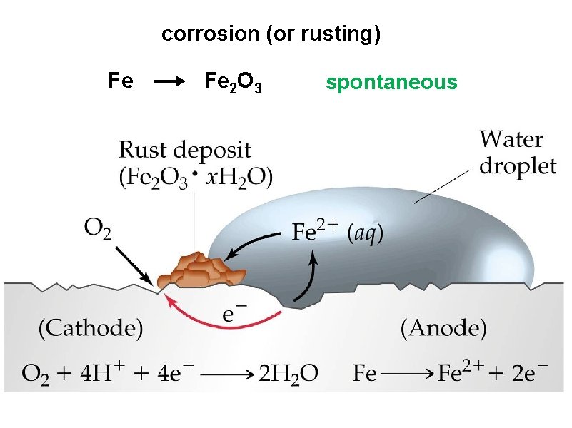 corrosion (or rusting) Fe Fe 2 O 3 spontaneous 
