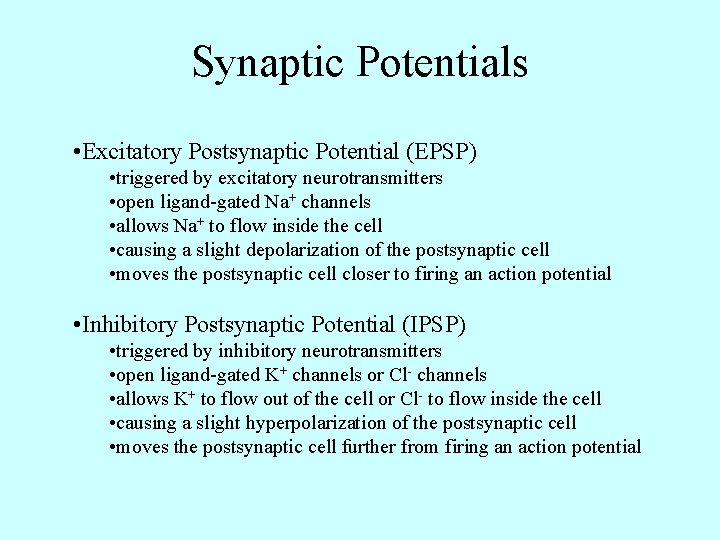 Synaptic Potentials • Excitatory Postsynaptic Potential (EPSP) • triggered by excitatory neurotransmitters • open