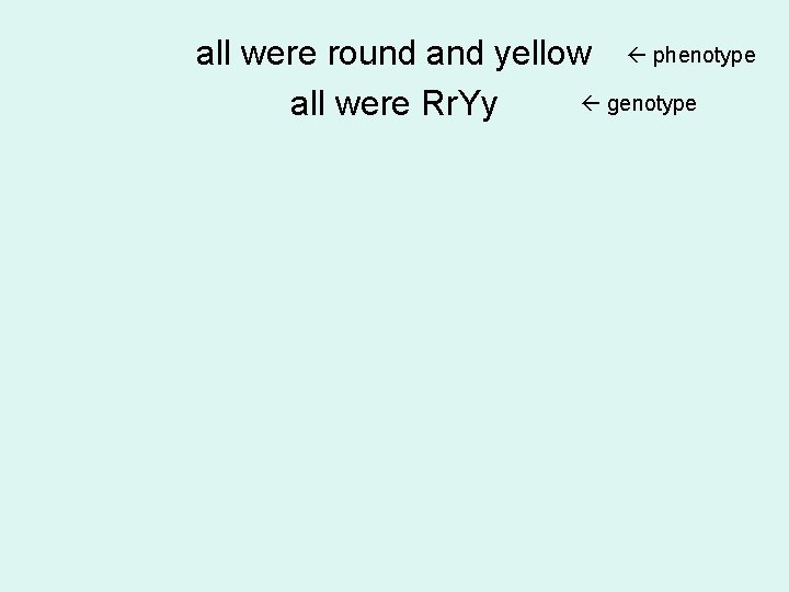 all were round and yellow phenotype genotype all were Rr. Yy all were round and yellow phenotype genotype all were Rr. Yy