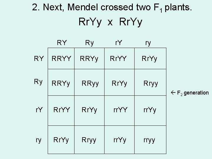 2. Next, Mendel crossed two F 1 plants. Rr. Yy x Rr. Yy RY 2. Next, Mendel crossed two F 1 plants. Rr. Yy x Rr. Yy RY