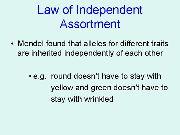 Law of Independent Assortment • Mendel found that alleles for different traits are inherited