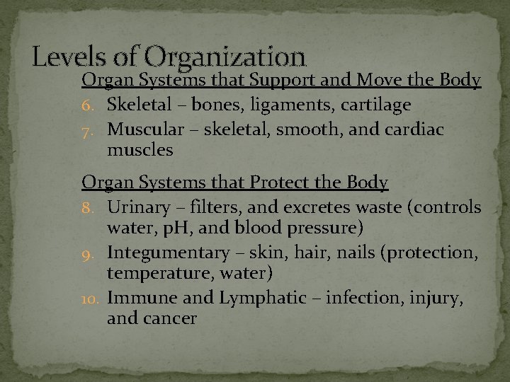Levels of Organization Organ Systems that Support and Move the Body 6. Skeletal –