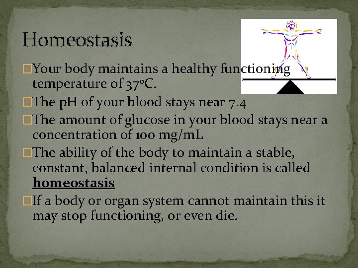 Homeostasis �Your body maintains a healthy functioning temperature of 37 o. C. �The p.