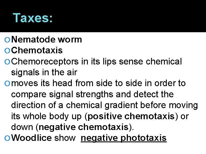Taxes: Nematode worm Chemotaxis Chemoreceptors in its lips sense chemical signals in the air