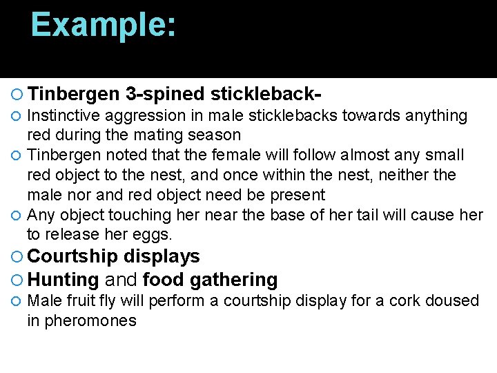 Example: Tinbergen 3 -spined stickleback Instinctive aggression in male sticklebacks towards anything red during
