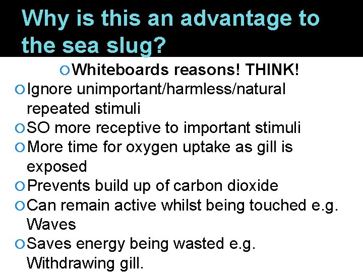 Why is this an advantage to the sea slug? Whiteboards reasons! THINK! Ignore unimportant/harmless/natural