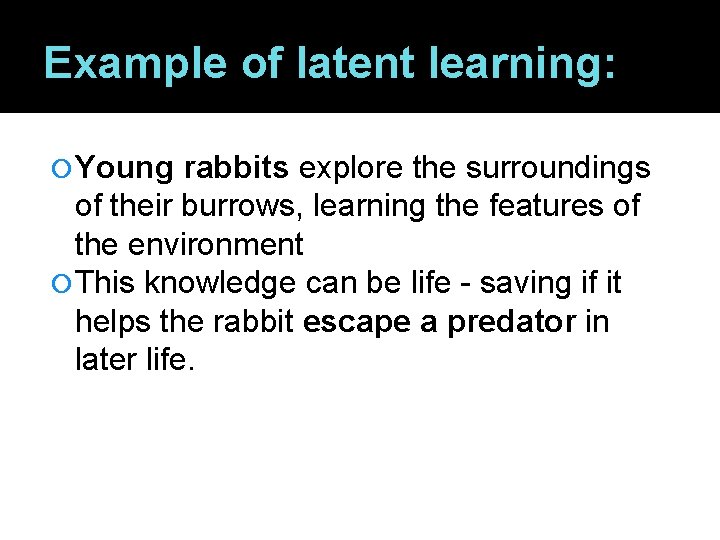 Example of latent learning: Young rabbits explore the surroundings of their burrows, learning the