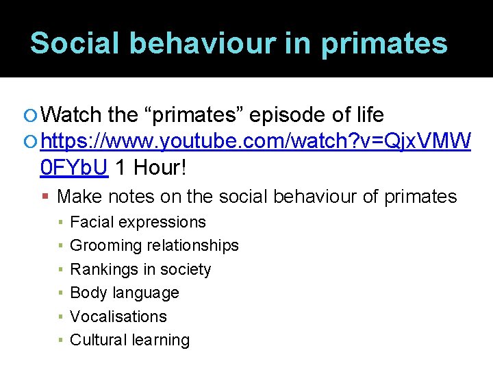 Social behaviour in primates Watch the “primates” episode of life https: //www. youtube. com/watch?