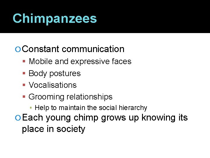 Chimpanzees Constant communication Mobile and expressive faces Body postures Vocalisations Grooming relationships ▪ Help