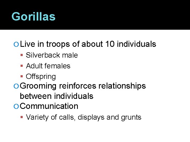 Gorillas Live in troops of about 10 individuals Silverback male Adult females Offspring Grooming