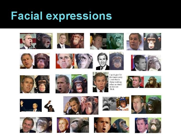 Facial expressions 