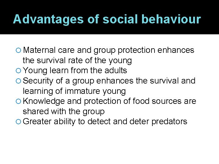 Advantages of social behaviour Maternal care and group protection enhances the survival rate of
