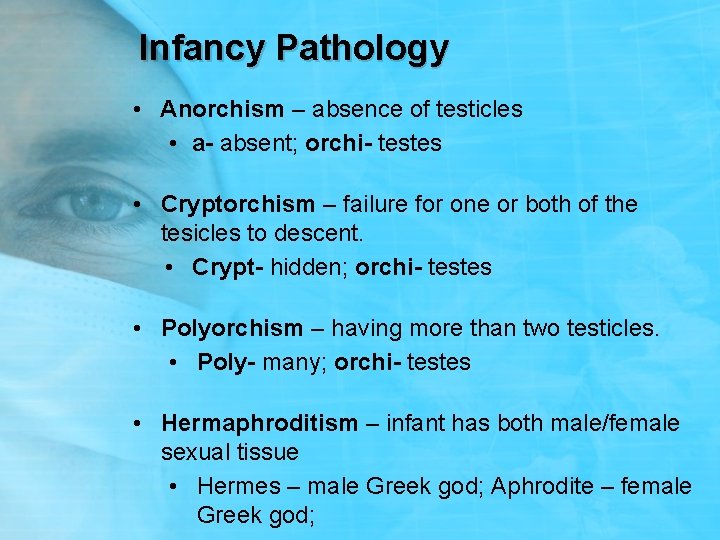 Infancy Pathology • Anorchism – absence of testicles • a- absent; orchi- testes •