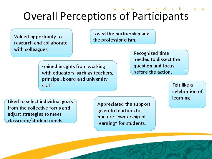 Overall Perceptions of Participants Valued opportunity to research and collaborate with colleagues Loved the