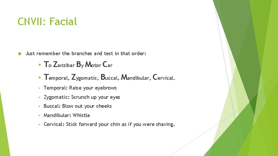 CNVII: Facial Just remember the branches and test in that order: • To Zanzibar